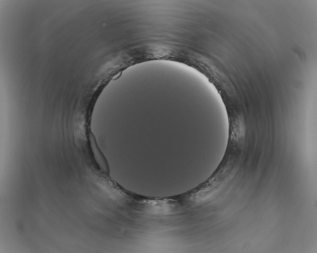 X0000111440524200908241147