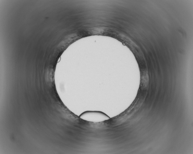X0000111440525200908241147