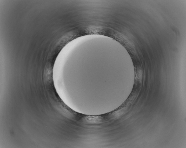 X0000111440526200908241147