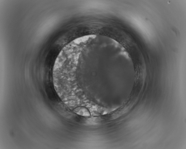 X0000111440527200908241147