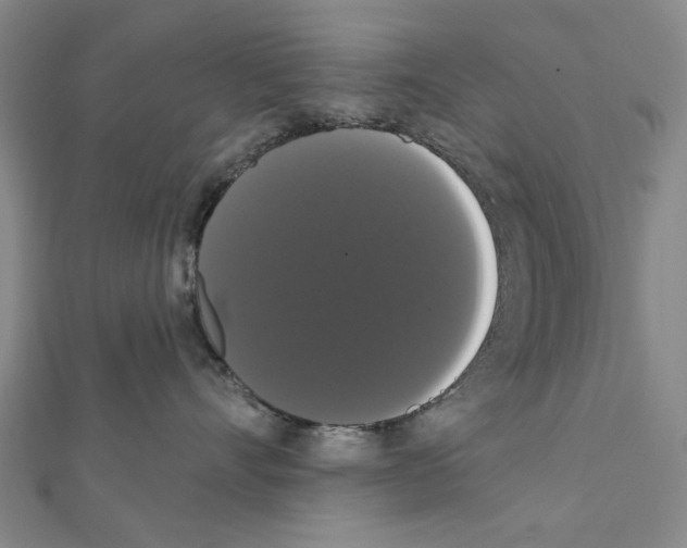 X0000111440528200908241147