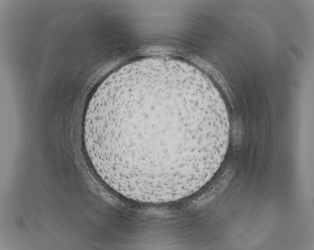 X0000111440529200908241146