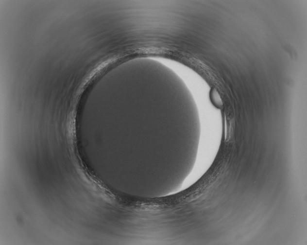 X0000111440531200908241146