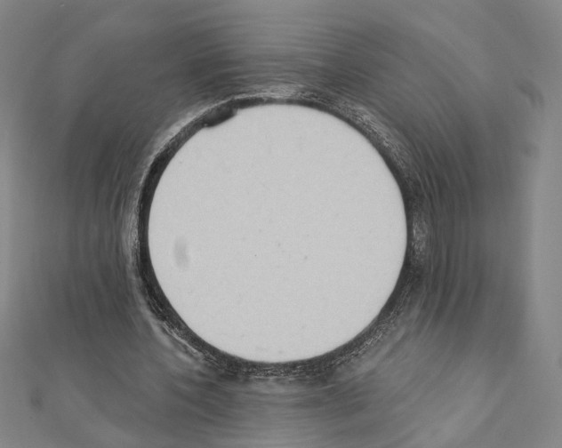 X0000111440532200908241146