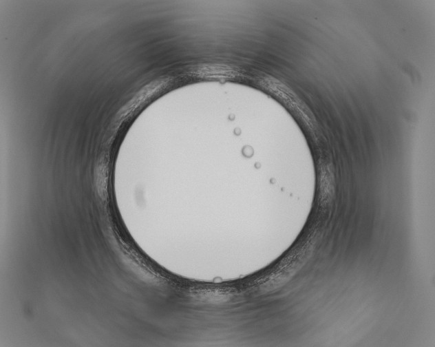 X0000111440533200908241146