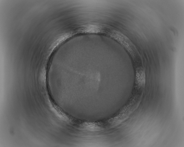 X0000111440534200908241146