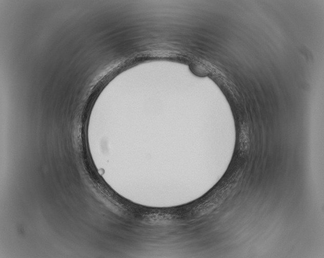 X0000111440535200908241146