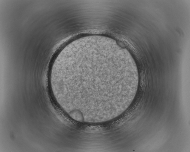 X0000111440536200908241146