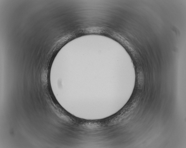 X0000111440537200908241146