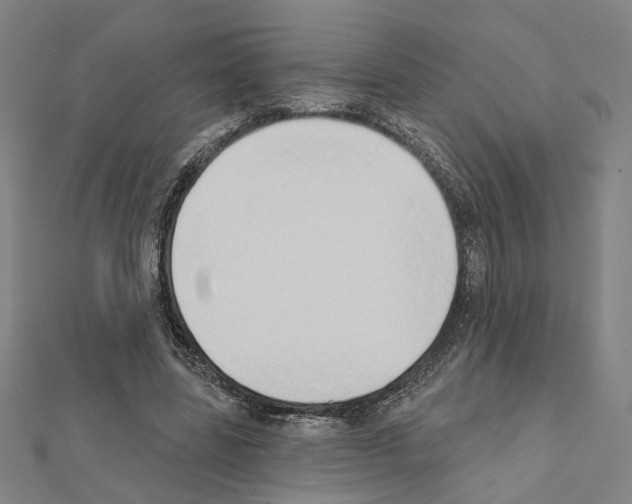 X0000111440539200908241146