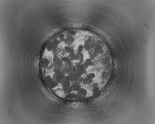 X0000111440542200908241146