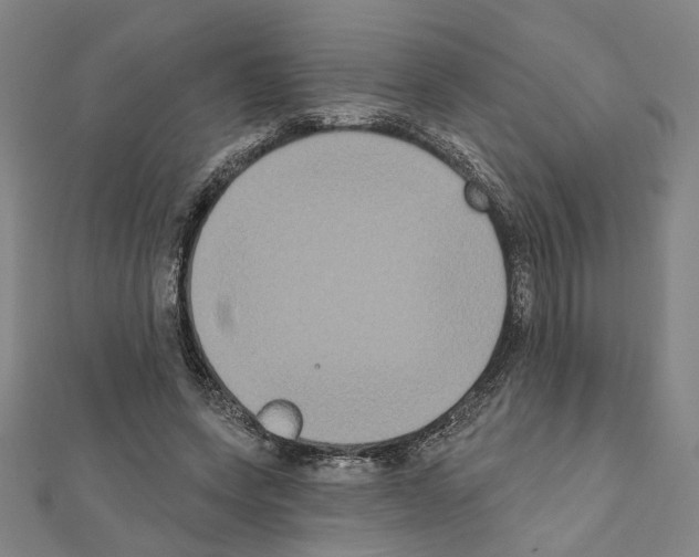 X0000111440543200908241146