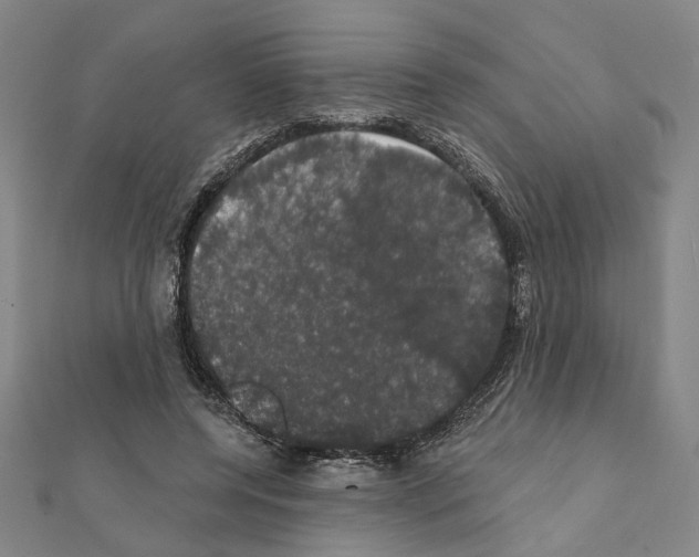 X0000111440544200908241146