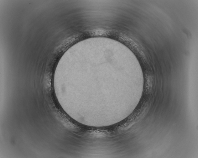 X0000111440545200908241146