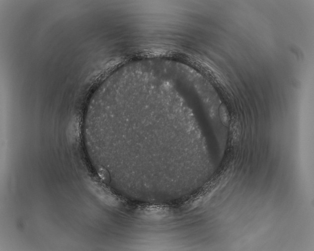 X0000111440546200908241146