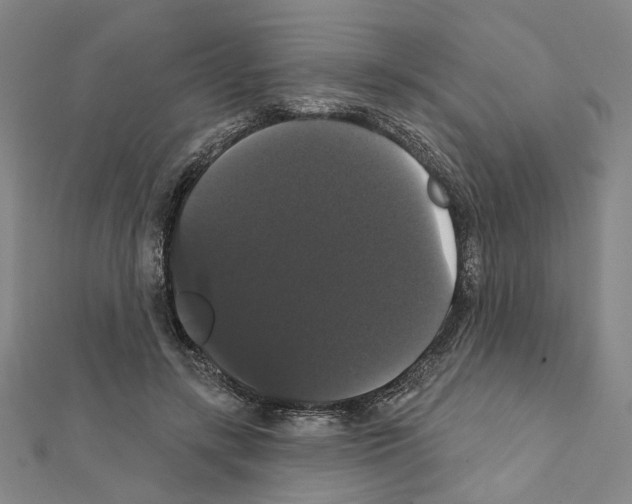 X0000111440547200908241146