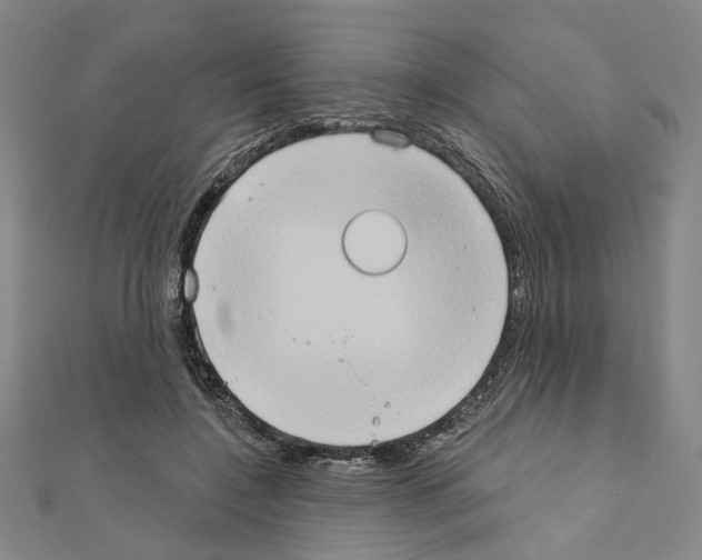 X0000111440548200908241146