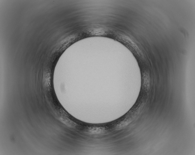 X0000111440549200908241146