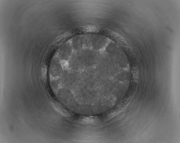 X0000111440550200908241146