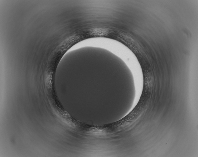 X0000111440551200908241146