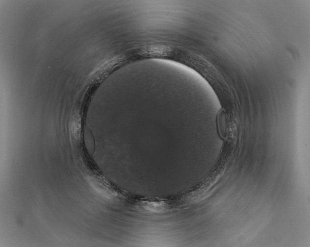X0000111440552200908241146