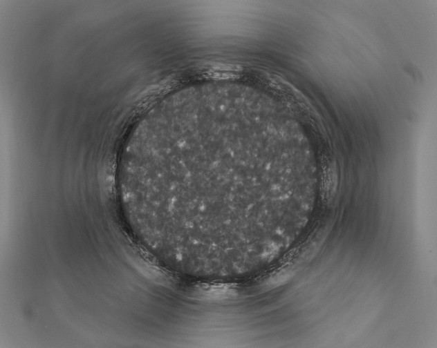 X0000111440553200908241146