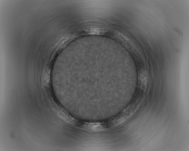 X0000111440554200908241146