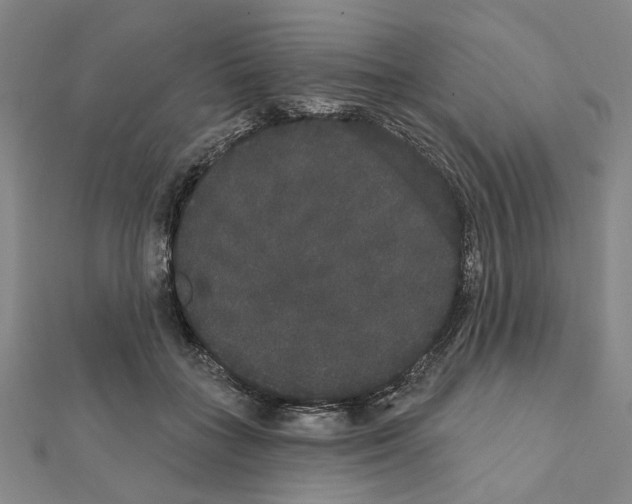 X0000111440555200908241146