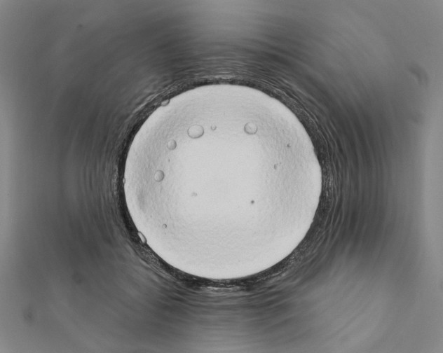 X0000111440556200908241146