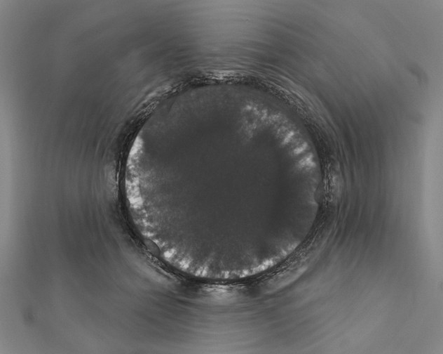 X0000111440558200908241146