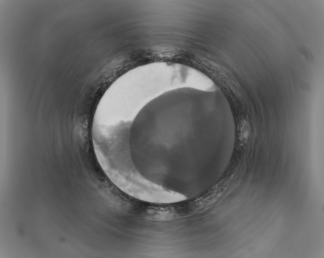 X0000111440559200908241146