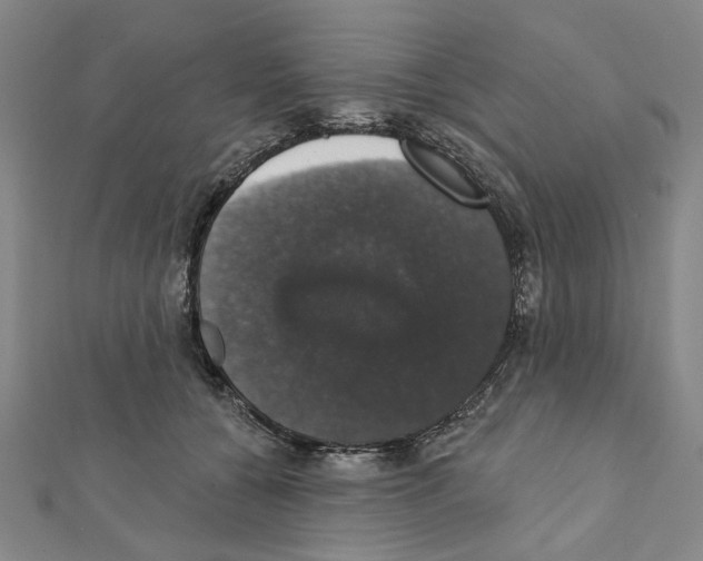 X0000111440560200908241146
