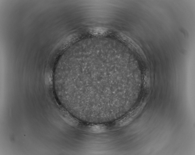 X0000111440561200908241146