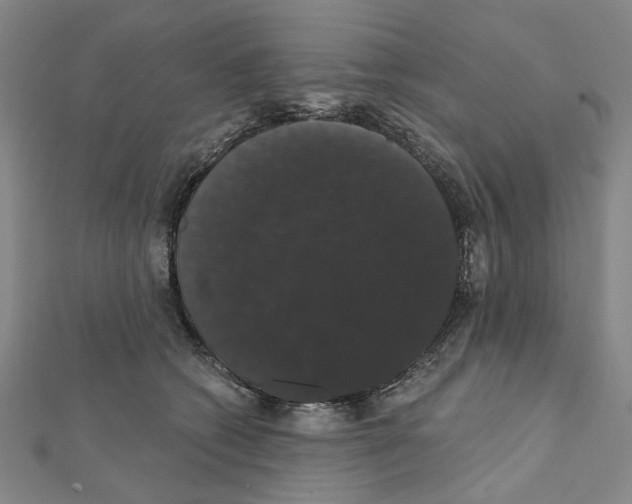 X0000111440562200908241146