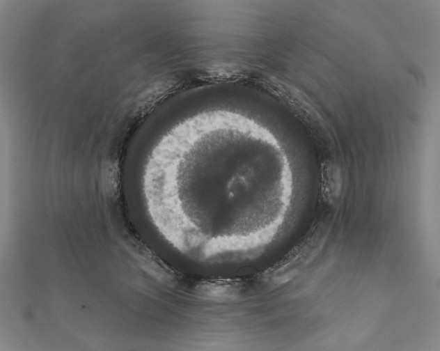 X0000111440563200908241146