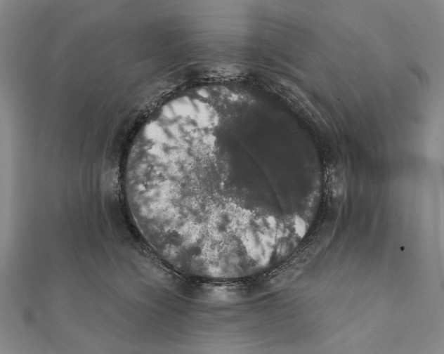 X0000111440564200908241146