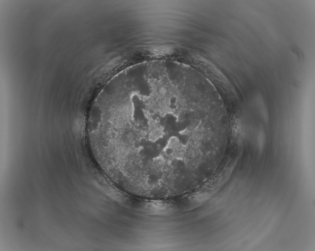 X0000111440565200908241146