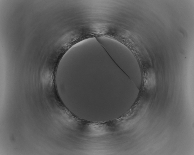 X0000111440568200908241146