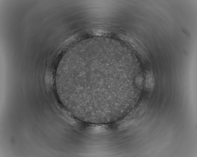 X0000111440569200908241147