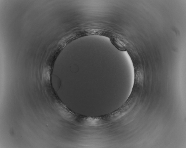X0000111440570200908241147