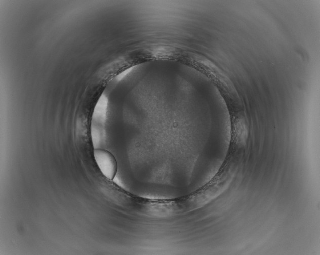 X0000111440571200908241147