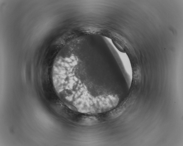 X0000111440572200908241147
