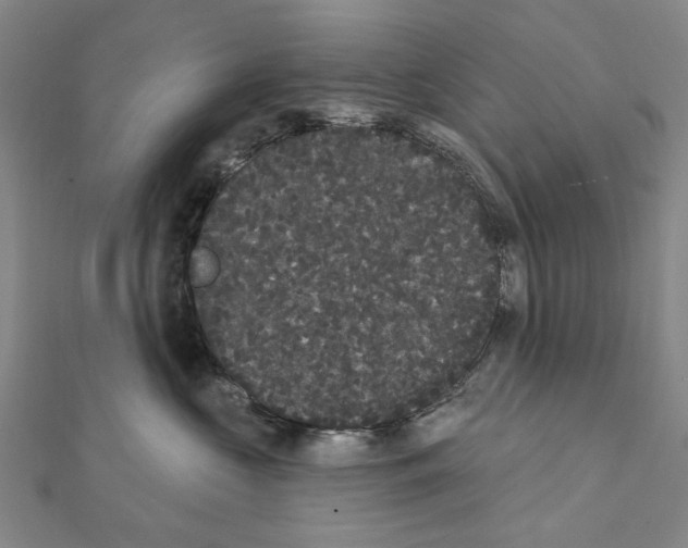 X0000111440573200908241147