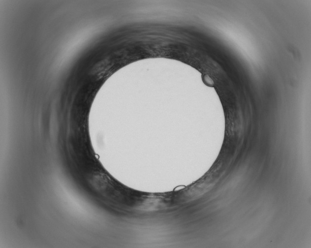 X0000111440574200908241147