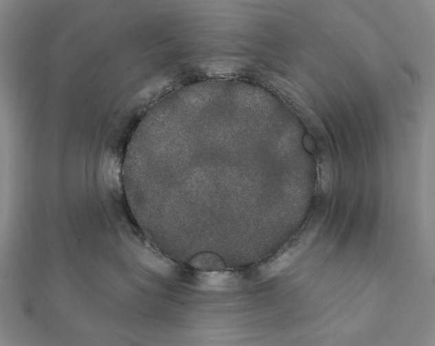 X0000111440575200908241147