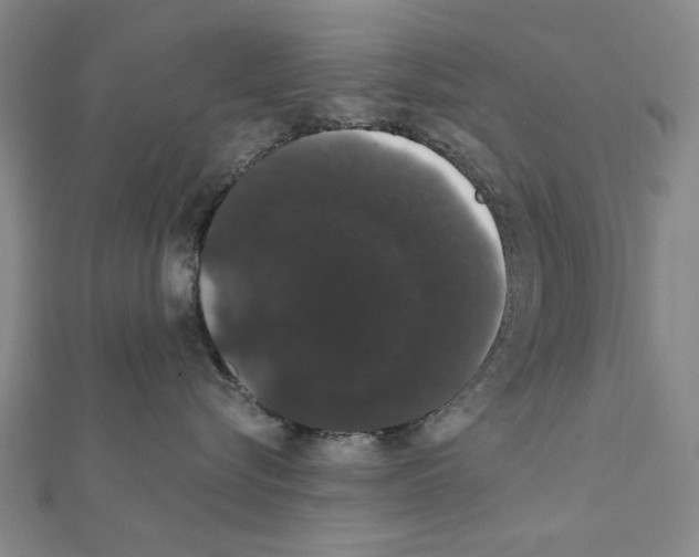 X0000111440576200908241147