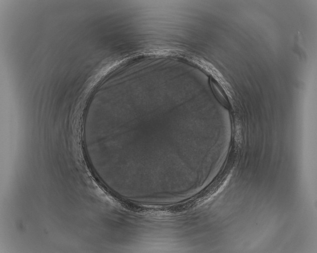 X0000111440577200908241146