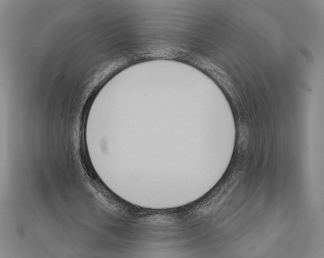 X0000111440578200908241146