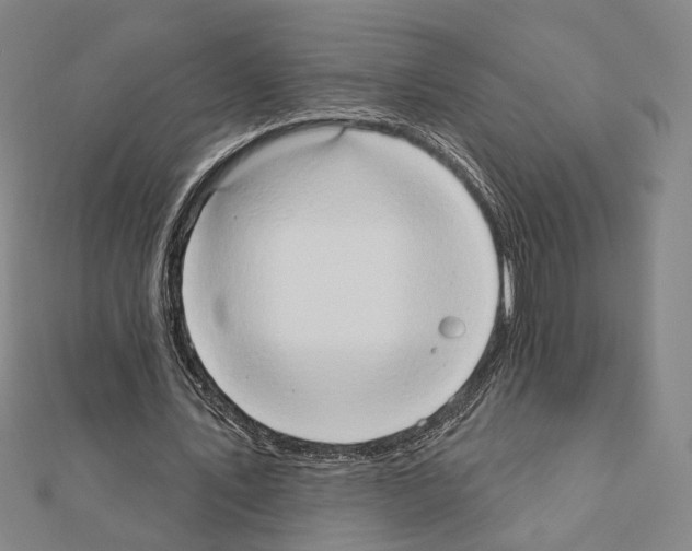 X0000111440579200908241146