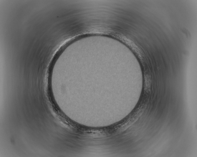 X0000111440580200908241146